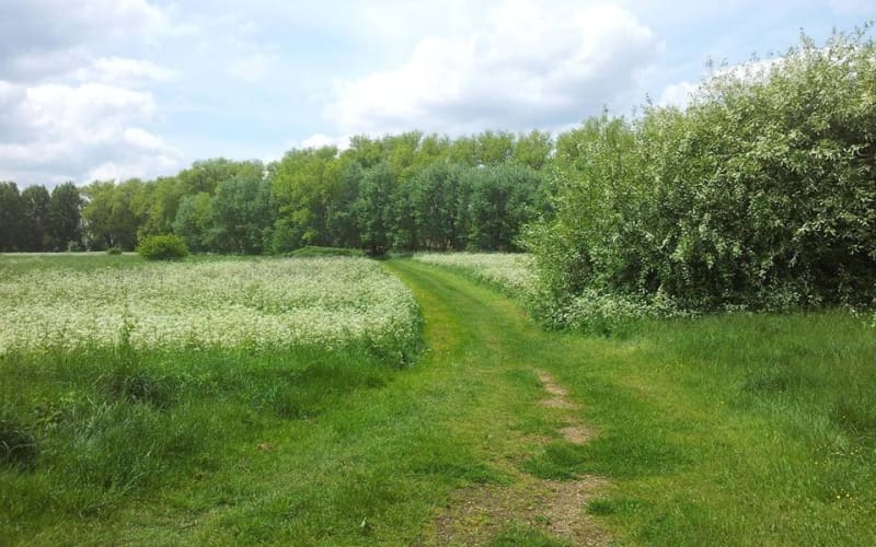 Woolwich Common, Greenwich GoParksLondon