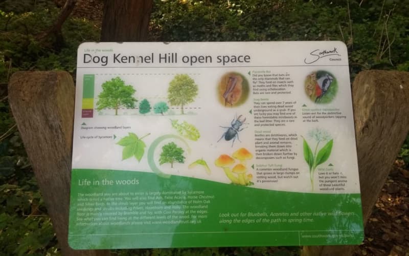 Bird dog hill kennels sales
