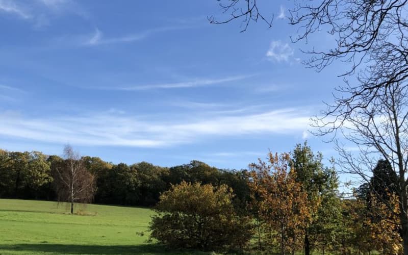 Rosehill Park East, Sutton GoParksLondon