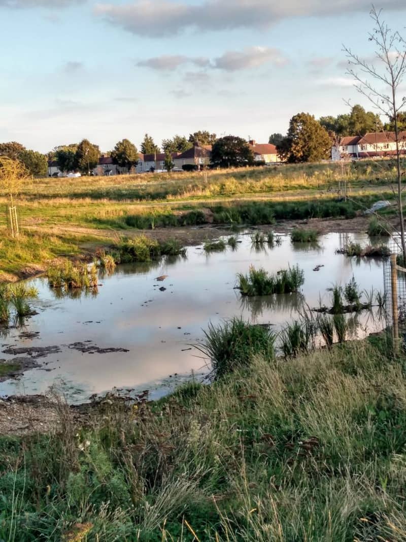 Albany Park, Enfield GoParksLondon