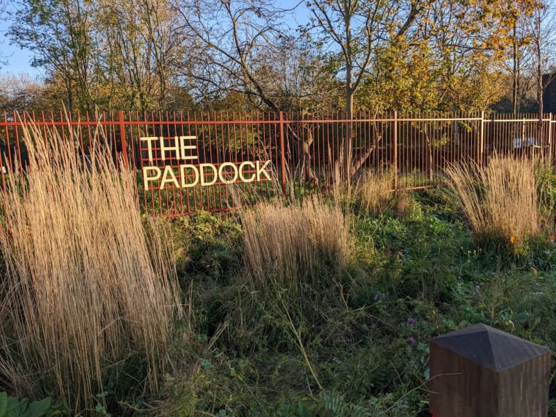 The Paddock NR, Haringey | GoParksLondon