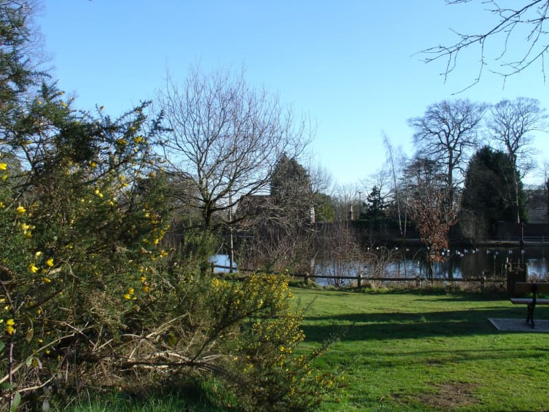 Stanmore Little Common, Harrow GoParksLondon