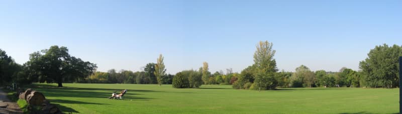 Cannon Hill Common, Merton GoParksLondon