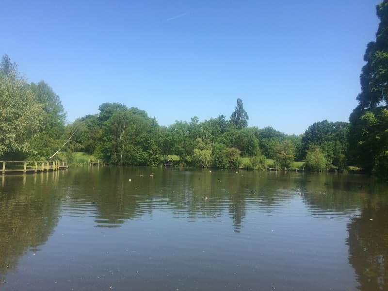 Wandsworth Common, Wandsworth GoParksLondon