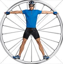 ruota
