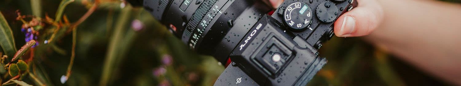 Antonio Halambek naslovna fotografija profila.