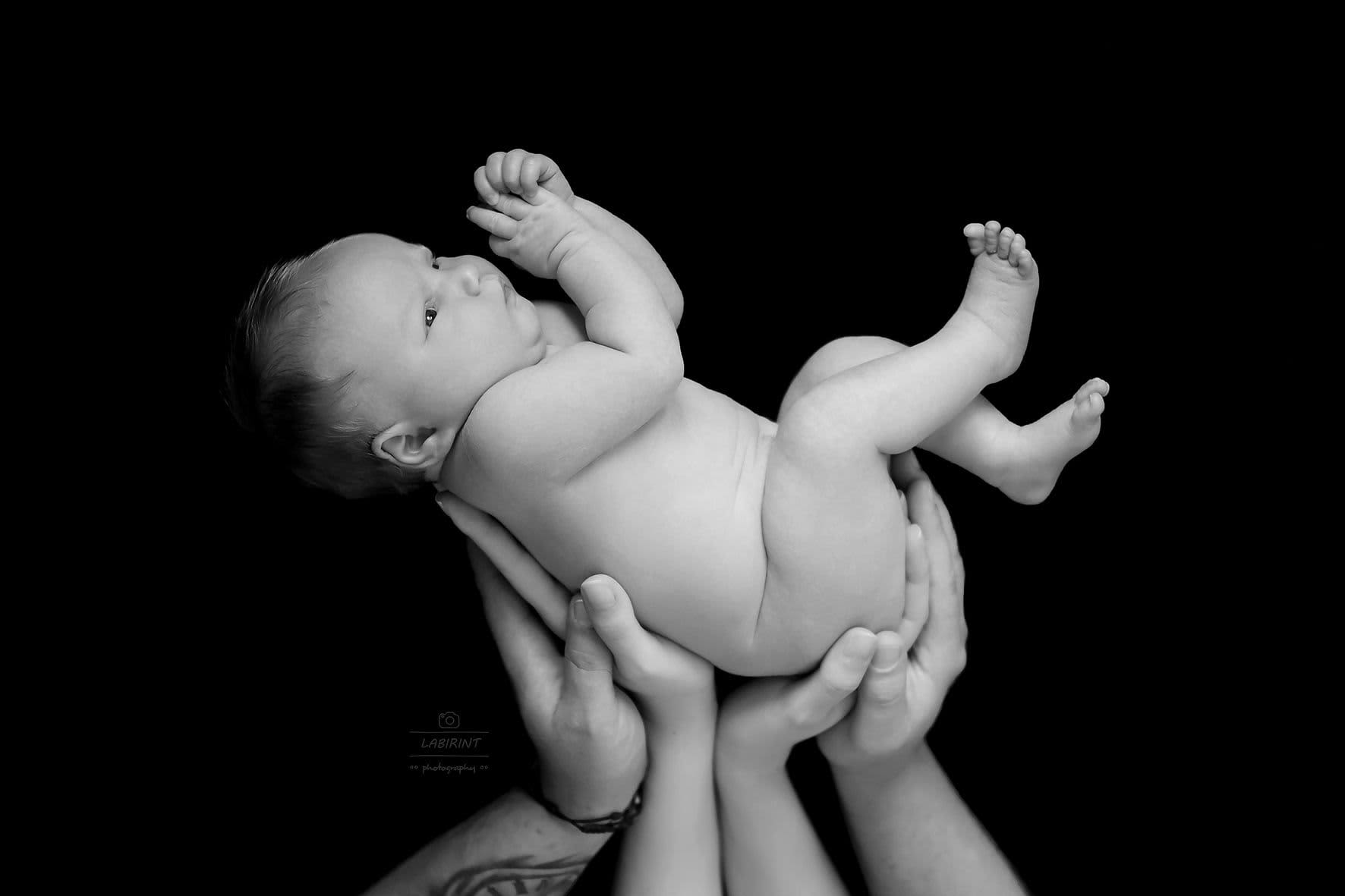 Fotograf Goran Matejak, Trudnice i Bebe, Bjelovarsko-bilogorska županija.