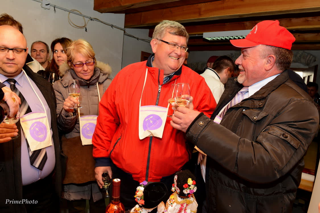 Fotograf Tanja Zupičić, Eventi, Istarska županija.