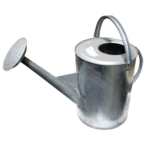 WATERING CAN GALVANISED 10L STEEL WATERING CAN WITH SPOUT Fowkes Bros