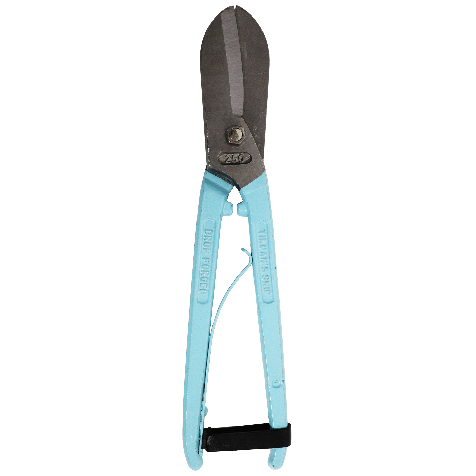 TIN SNIP 250MM BRITISH TYPE S SNIP WITH SPRING RECORD BLUE Fowkes Bros tin-snip-250mm-british-type-s-snip-with-spring-record-blue-fowkes-bros