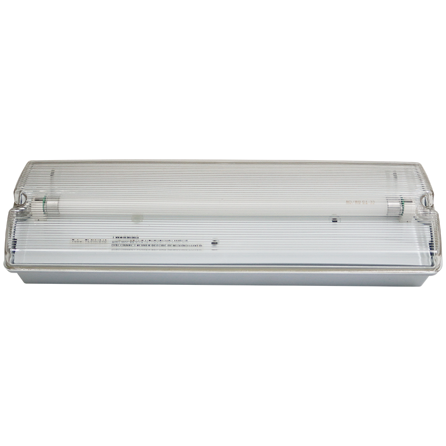"LIGHT EMERGENCY ESSENTIALS - DWS - NON MAINTAINED EMERGENCY BULKHEAD"