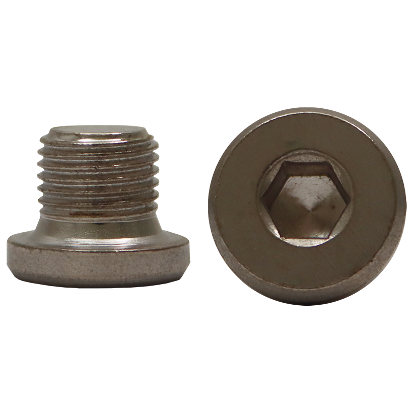 PNEUMATIC SPARES SRC-55P SCREW - SCREW FOR SRC-55P | Fowkes Bros