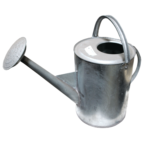 "WATERING CAN GALVANISED 10L - STEEL WATERING CAN WITH SPOUT"