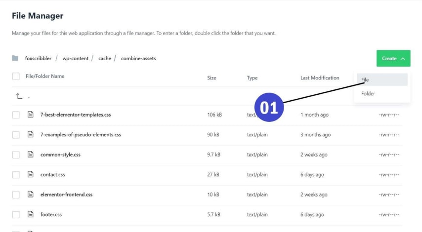 Remove unused CSS from Elementor website manually 30 create a file inside the cache folder