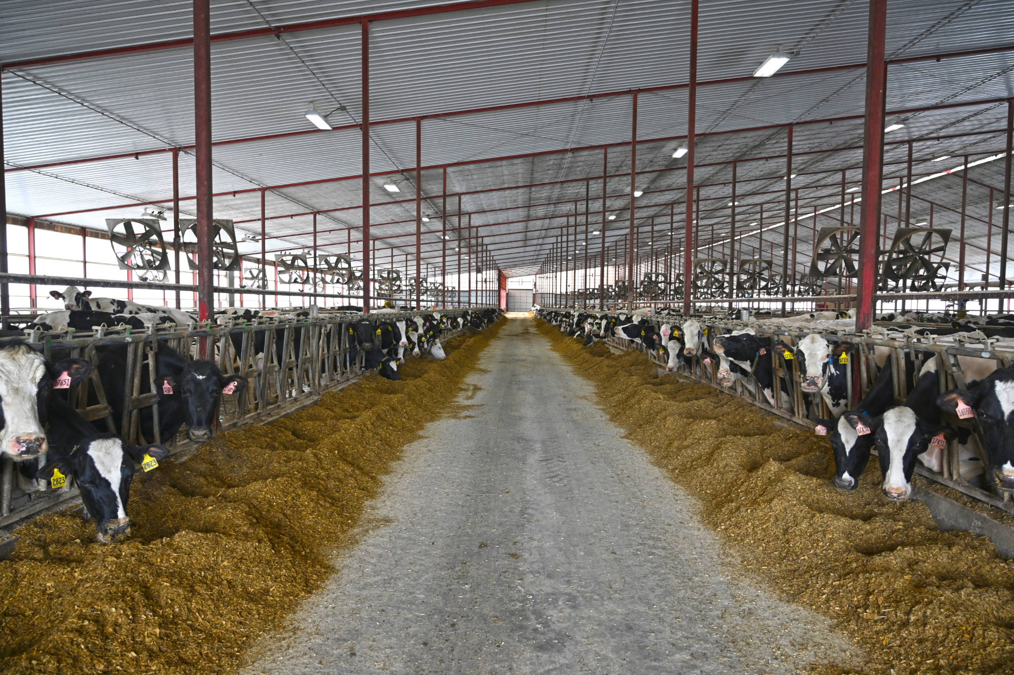 Ridge fans for Plum Creek Dairy in Fox Lake, Wisconsin