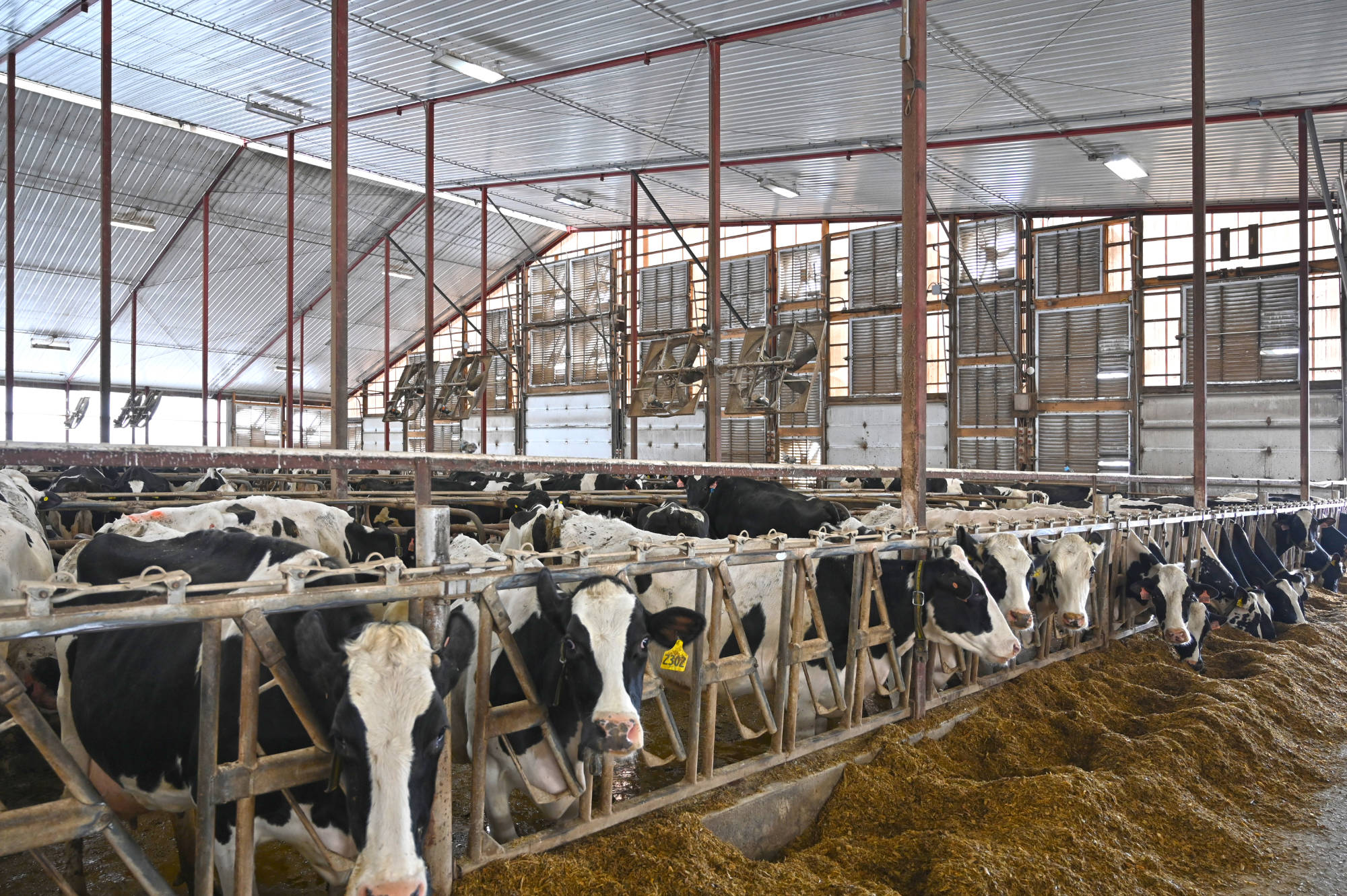 Tunnel ventilation system for Plum Creek Dairy in Fox Lake, Wisconsin