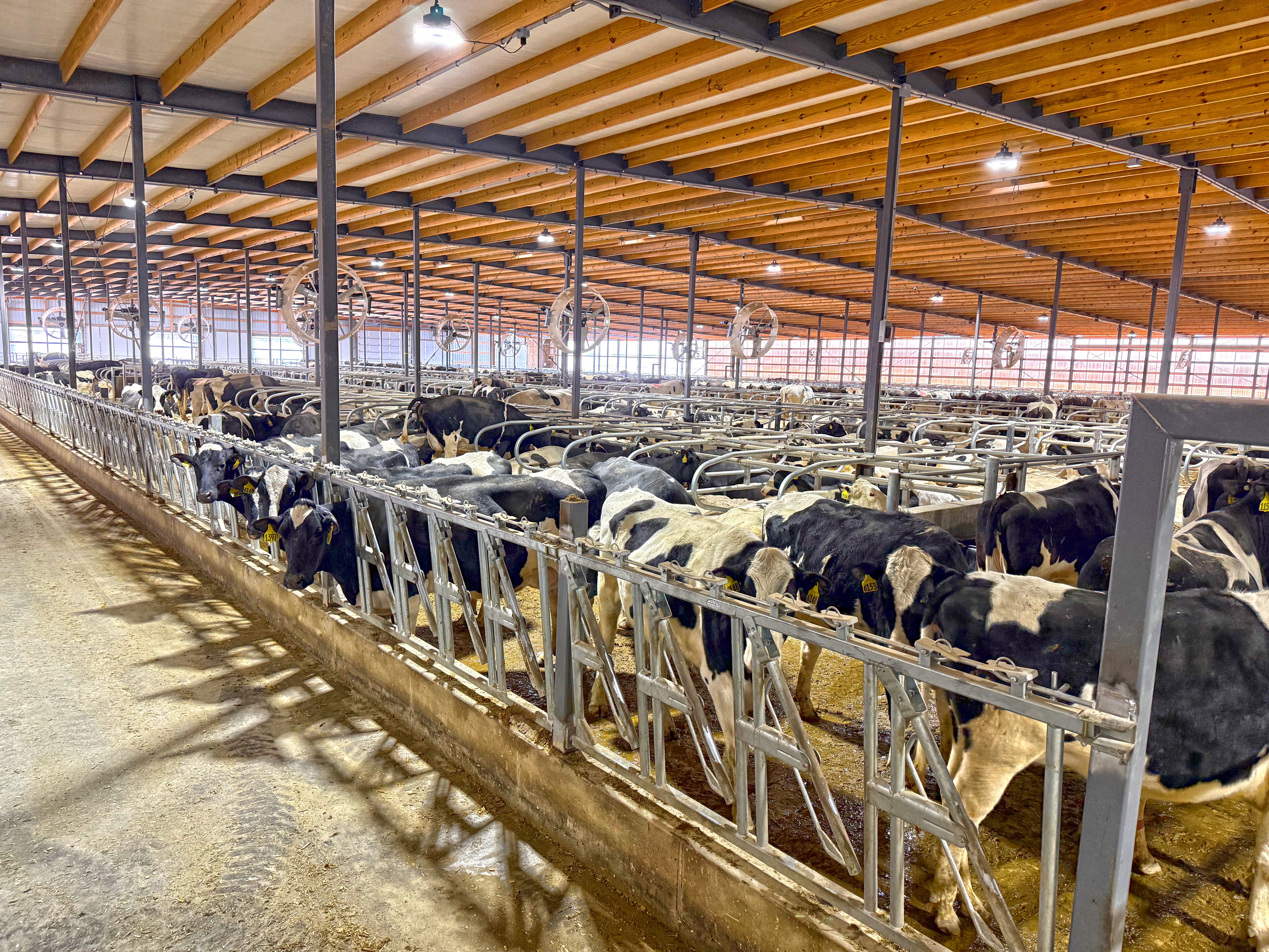 Freestall barn addition to Redtail Ridge Dairy