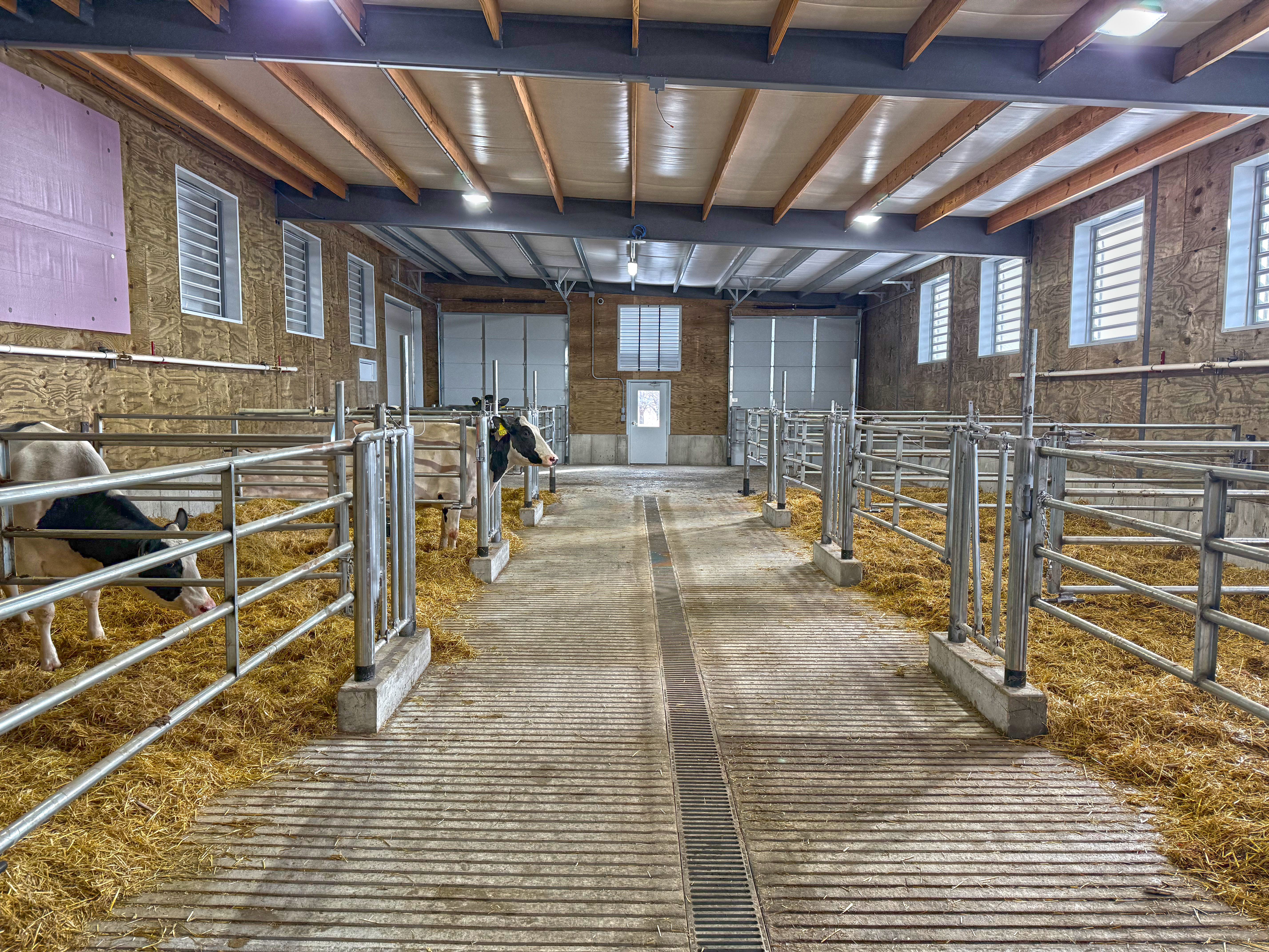 Redtail Ridge Dairy maternity barn expansion