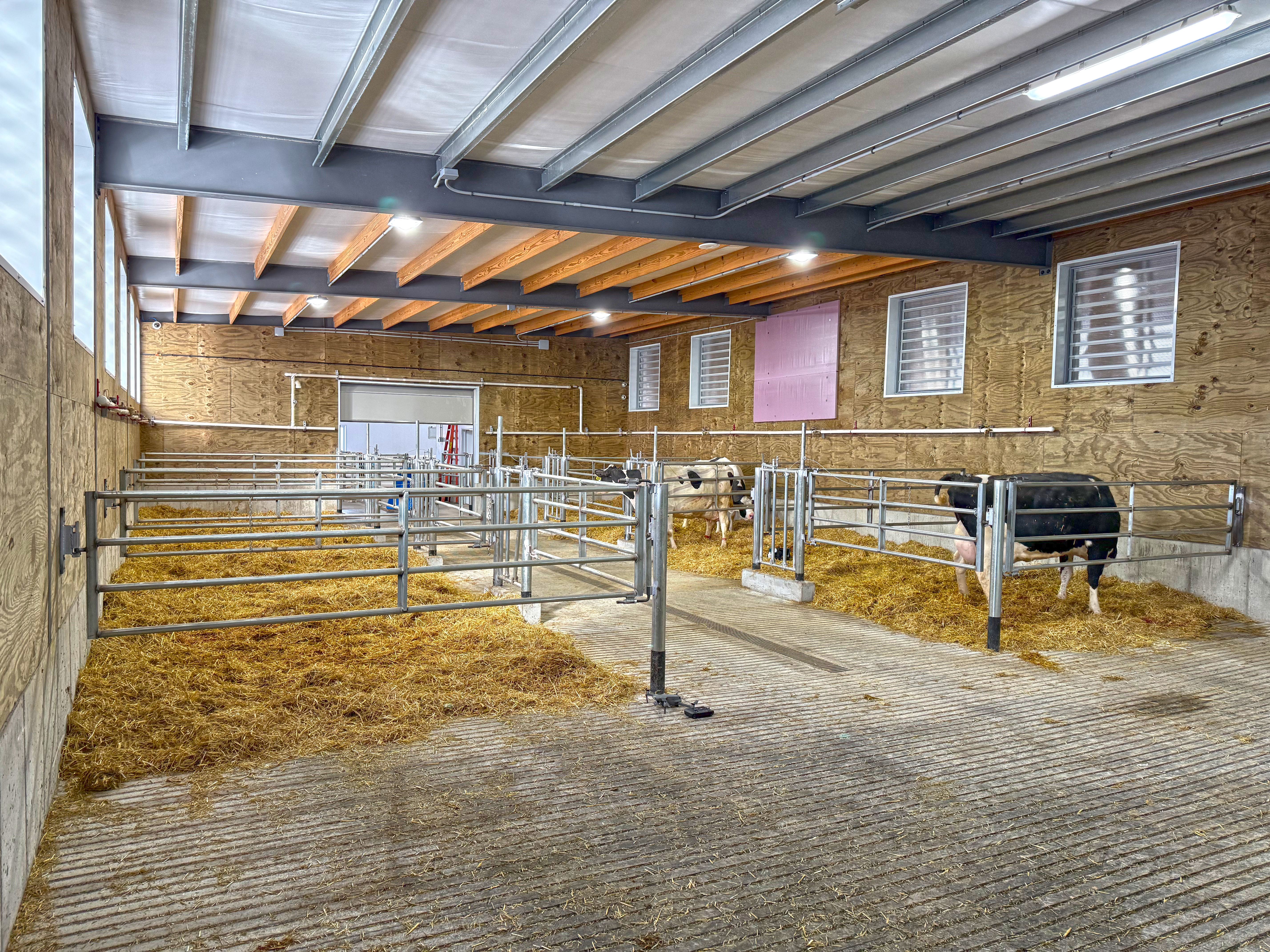 Redtail Ridge Dairy maternity barn addition