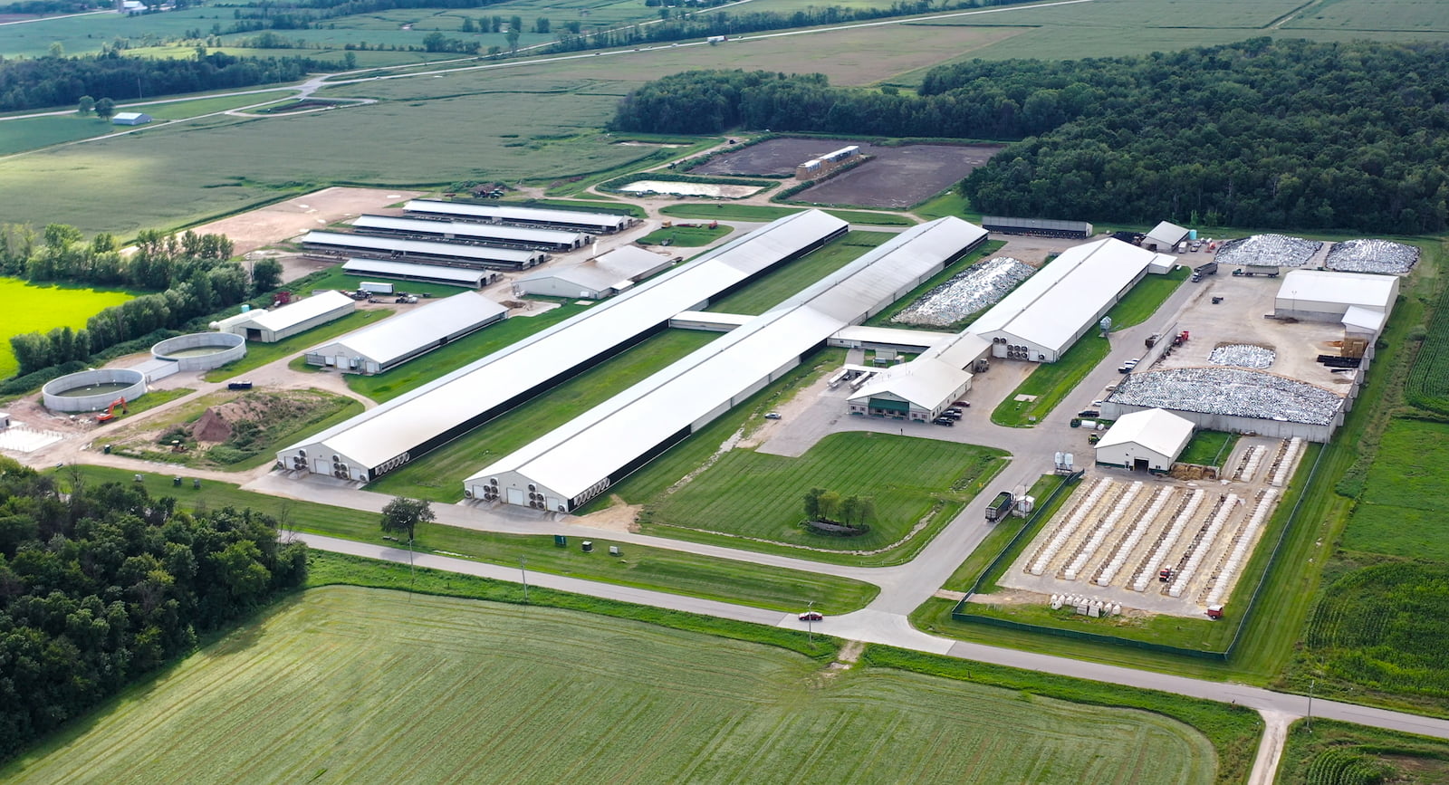 Drone view of plum creek dairy and three large free-stall cattle barns