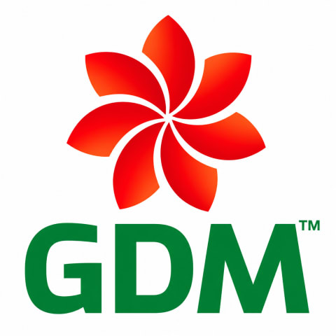 GDM Pure Guard Hand Wash