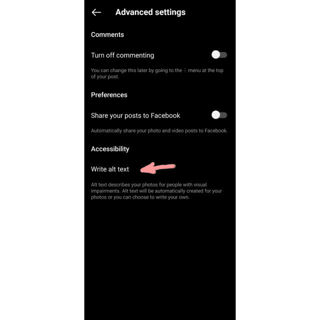 The Advanced settings menu. "Write alt text" is highlighted, at the end of the list of options.