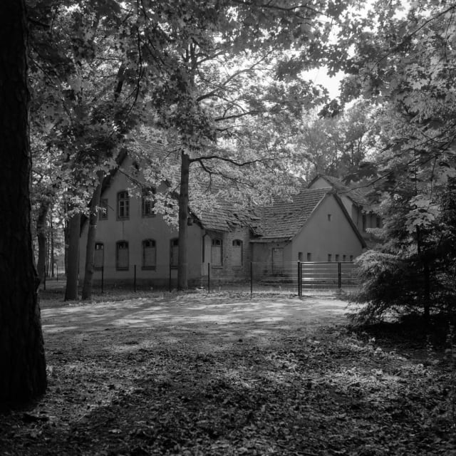 A seemingly abandoned two-story building, surrounded by trees. Its ground floor windows are boarded up, and a fence sits around it. Trees and leaves cover the edges of the frame. The light shines diffused yet strong through breaks in the foliage, on the empty space between the fence and fallen leaves.