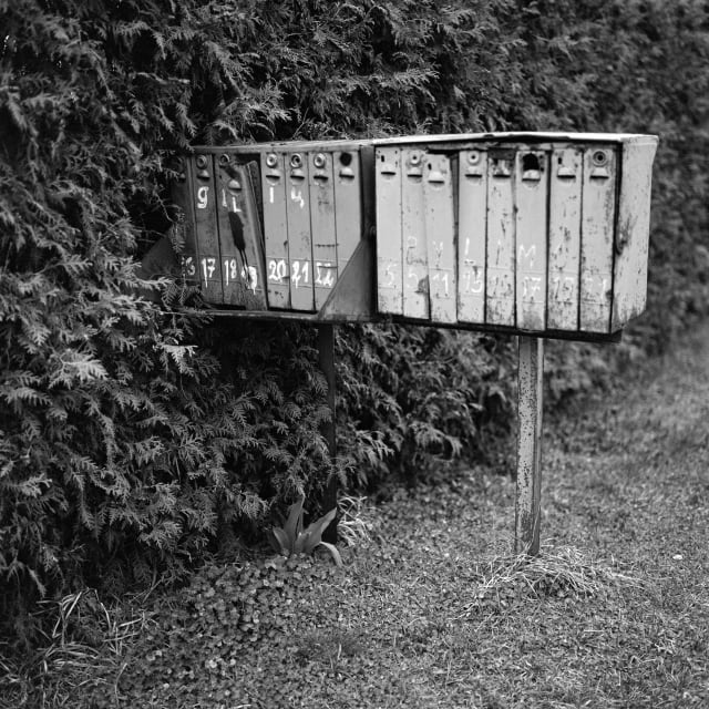 A series of mailboxes, in front of a hedge. The boxes seem to be falling apart, with paint scraping off. The boxes lead to, and get lost in the hedge.