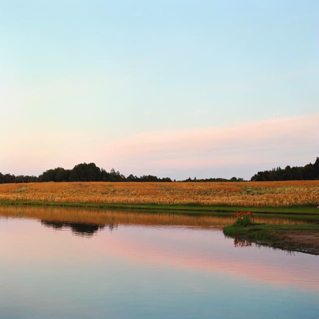 A calm scene over a small pond. The pond is perfectly still, and the lights of an early evening are reflected on it.