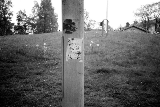 A pole with a sticker of a fist smashing a swastika. "Smash fascism" is inscribed on it. Behind the pole lies a park with flowers and trees blooming.