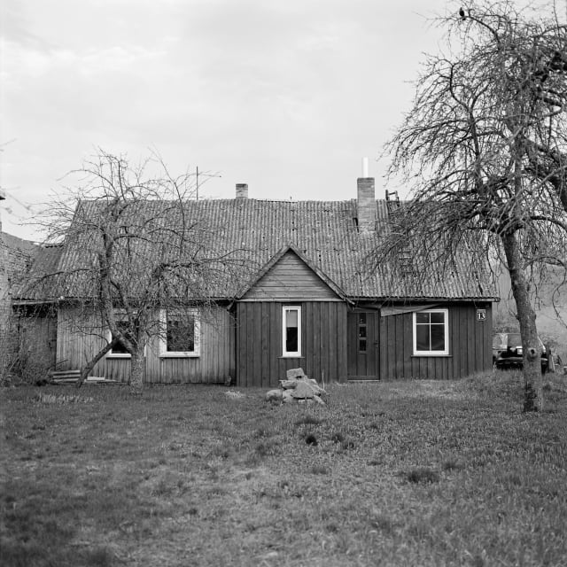 A wooden house with a garden leading up to it. In front of the house is a pile of rocks. To the sides stand trees without their leaves. A small bird is sitting on the tree on the right.