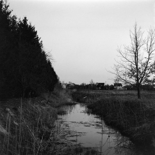 A small creek runs in the middle of the photo. On the left, a row of tall dark trees. On the right, a single tree with some leaves on it. The image is grainy and moody.