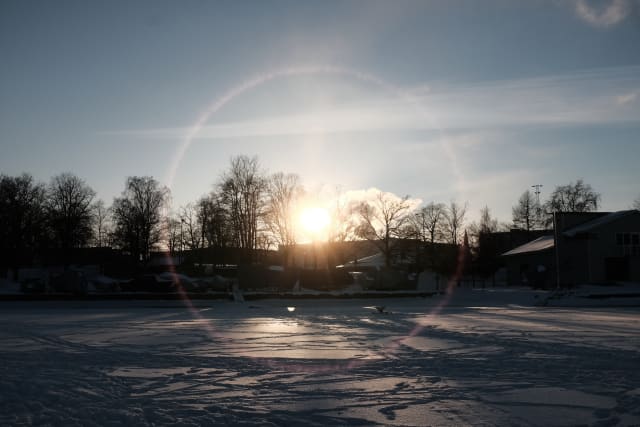 A landscape on the icy sea, looking towards a row of trees by the shore. The sun is in the middle, surrounded by a pale red halo.