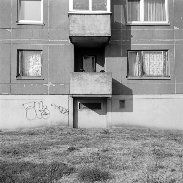 The front of a block house, lit by the sun from the left side. Different details are on it; curtains with flower patterns, two plants in front of a window, and a graffity on the lower left edge. In the middle, an open balcony with two crows facing in opposite directions.