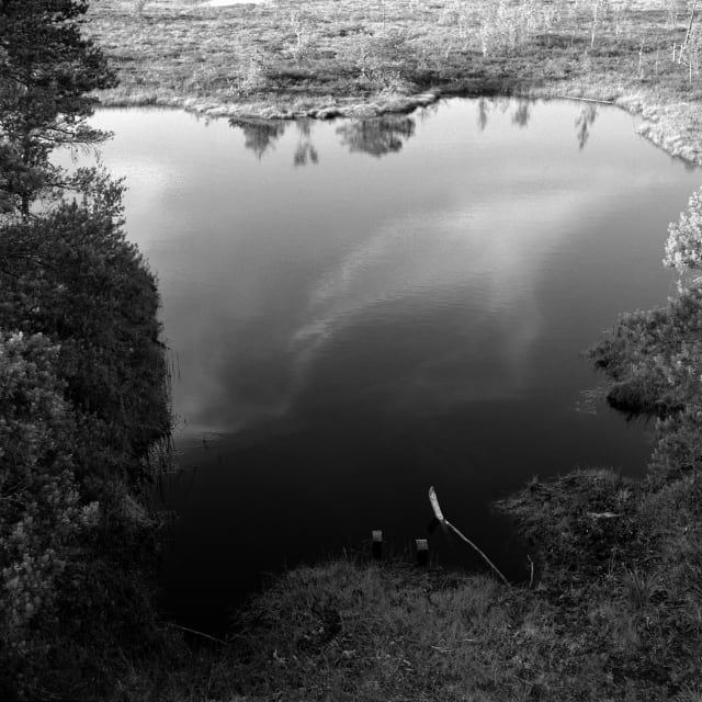 A pond in the middle of a bog. The pond extends to the sides of the frame on the sides and bottom. To the top, many brightly lit trees. The sky is reflected in the pond; at the top the trees, then some clouds, and at the bottom a dark stillness, a shade or the sky.