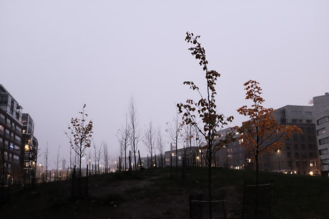 Apartment buildings with lights on line the sides of the frame. The center are tree saplings, or trees shedding their leaves. The sky is cloudy and with a tinge of purple or blue.