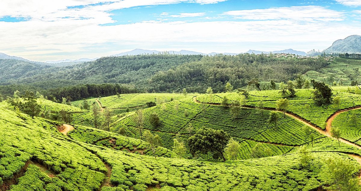 Sri Lanka Travel Guide: Best Places to Visit, Things to Do, Best Time to Travel & Holiday Tips
