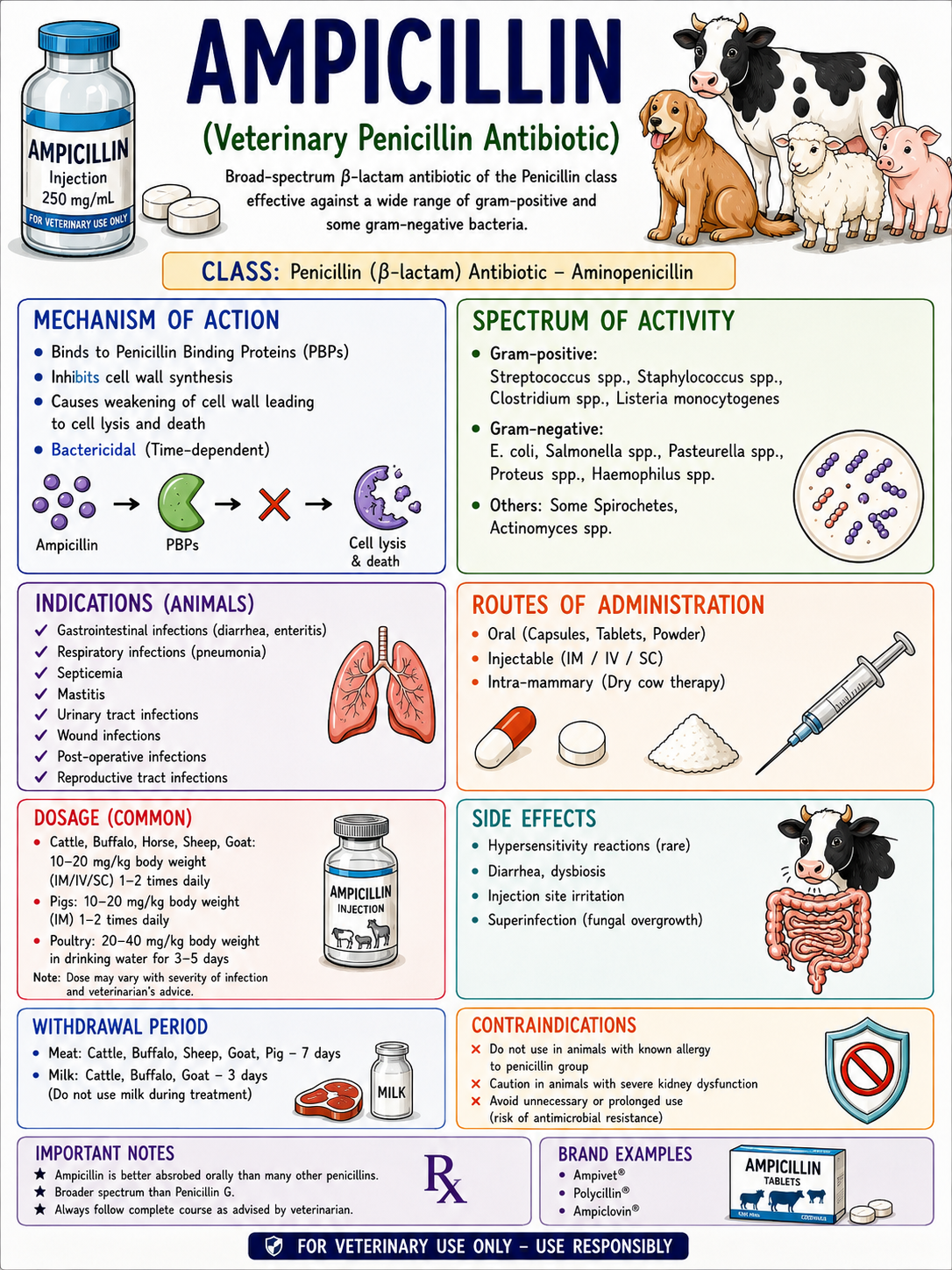 Veterinary Guide Preview 1