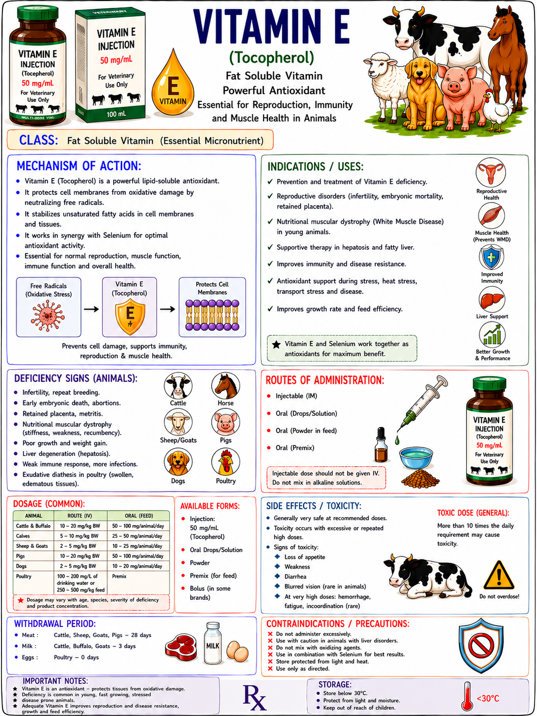 Veterinary Guide Preview 2