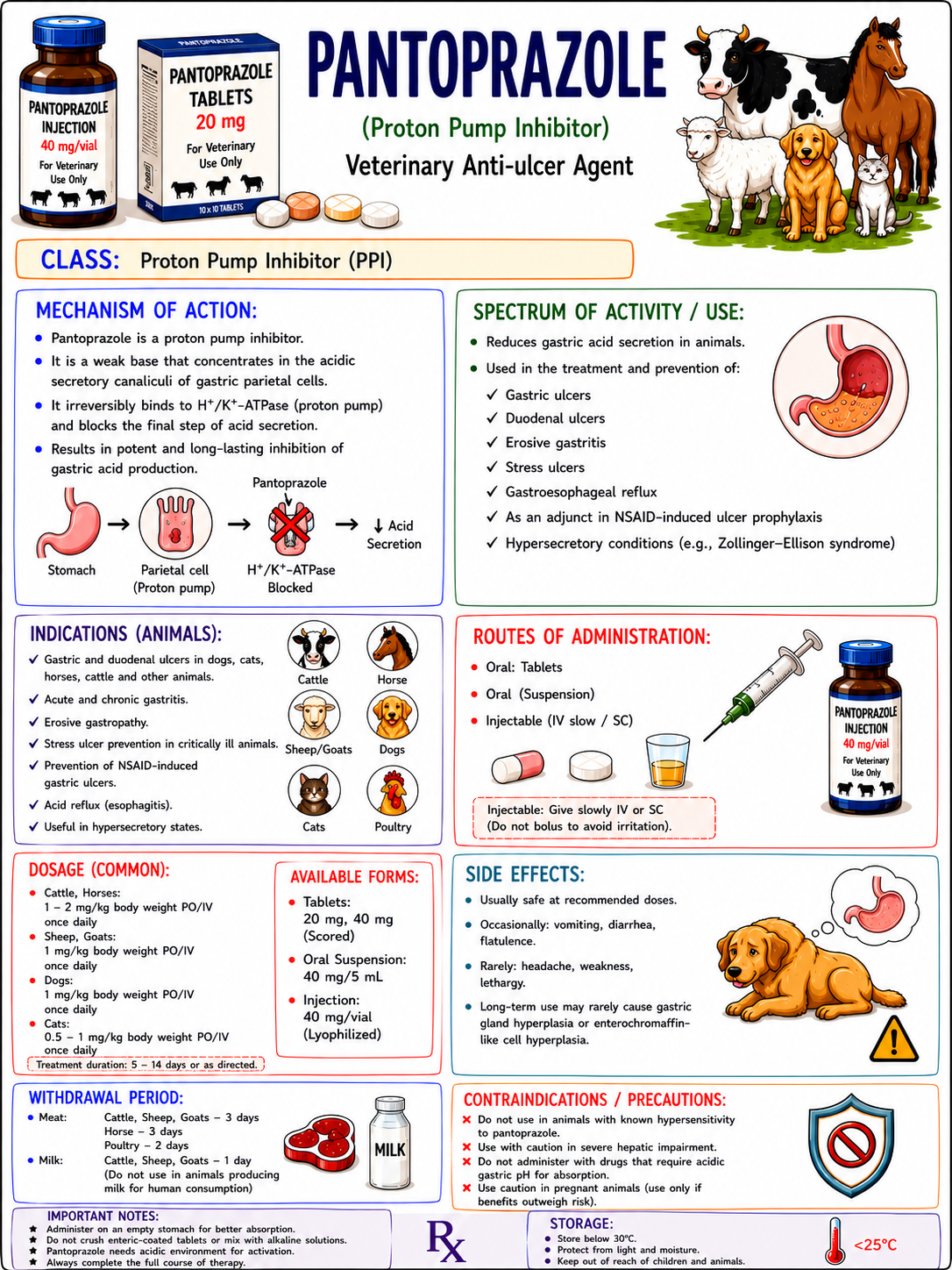 Veterinary Sample Page