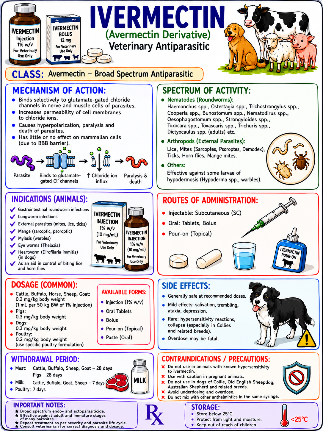 Veterinary Sample Page