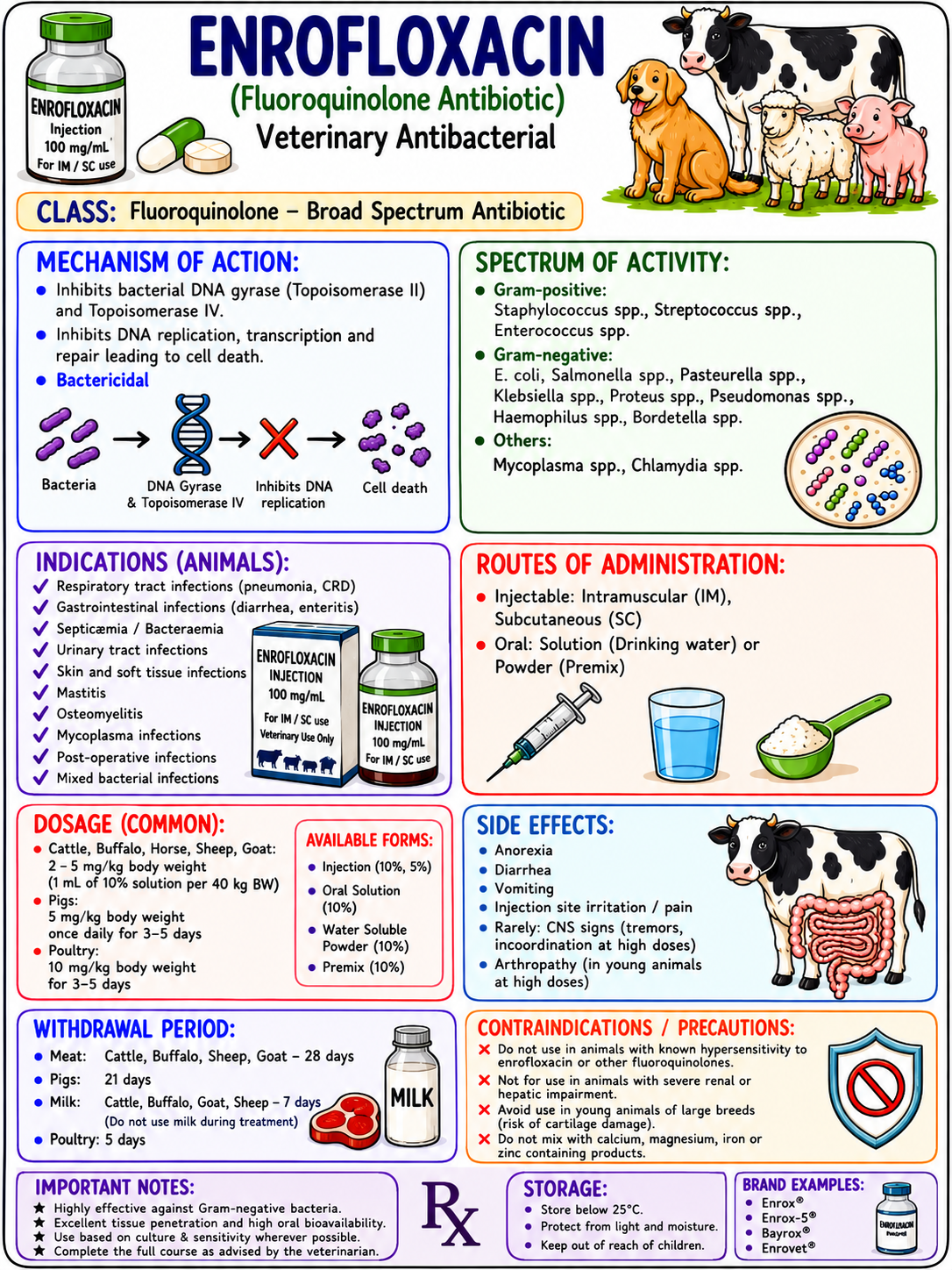 Veterinary Sample Page