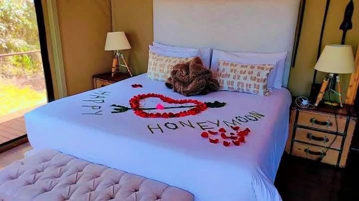 Honeymoon Safaris