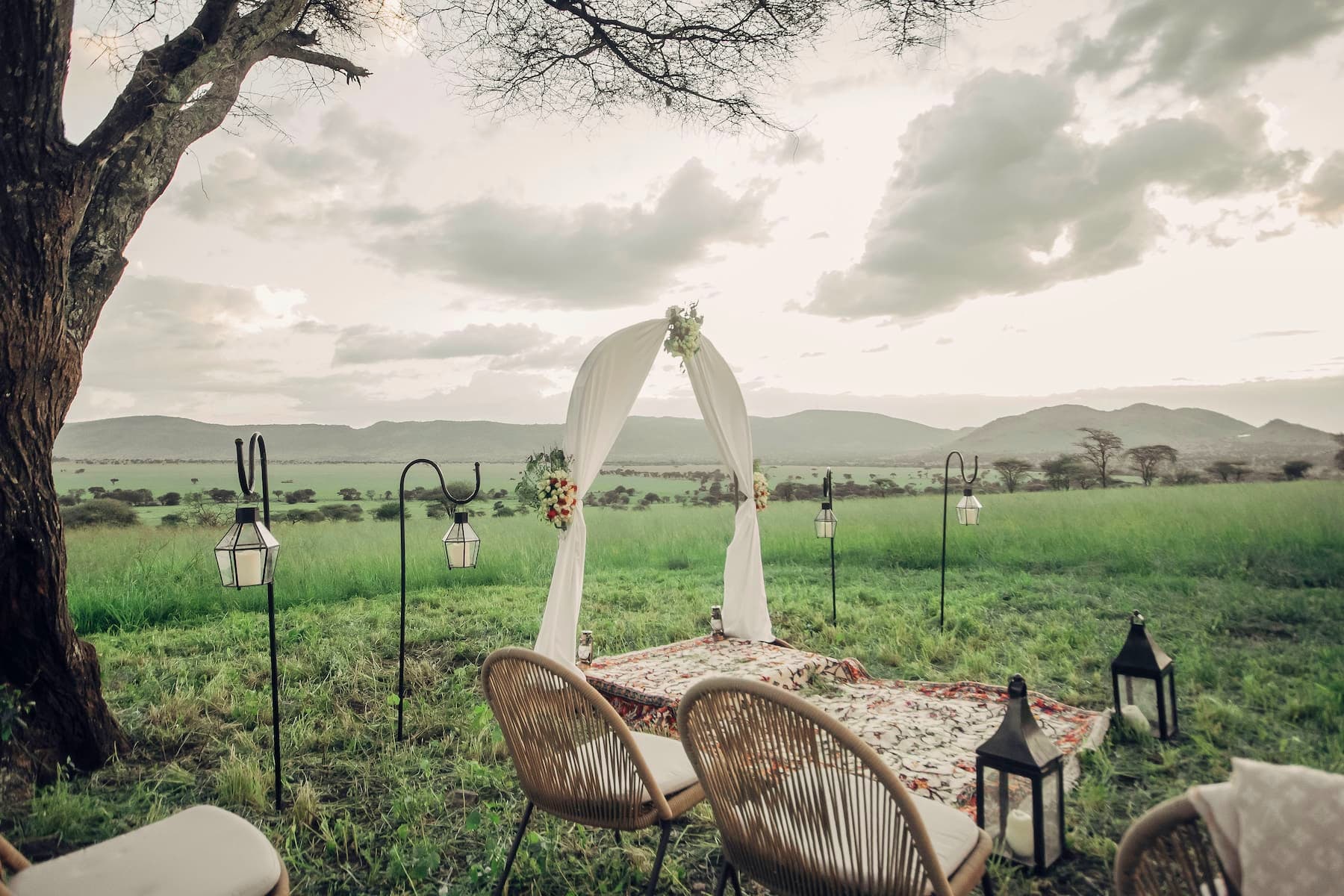 Safari Weddings