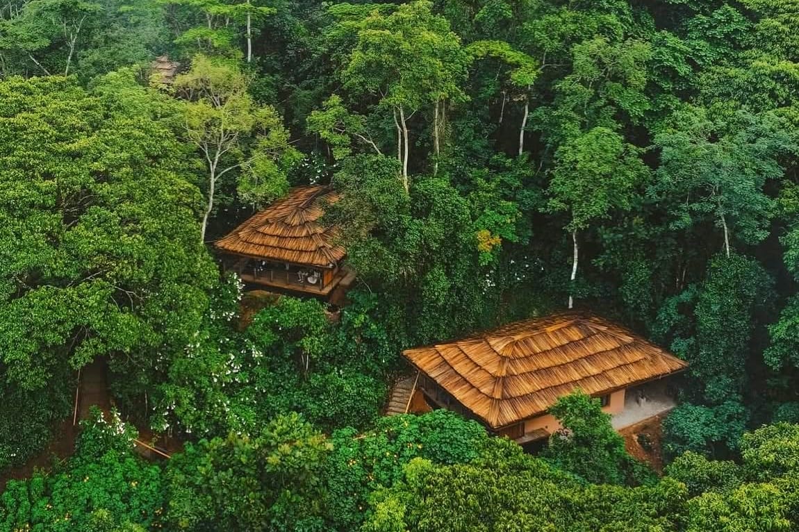 Gorilla Forest Camp