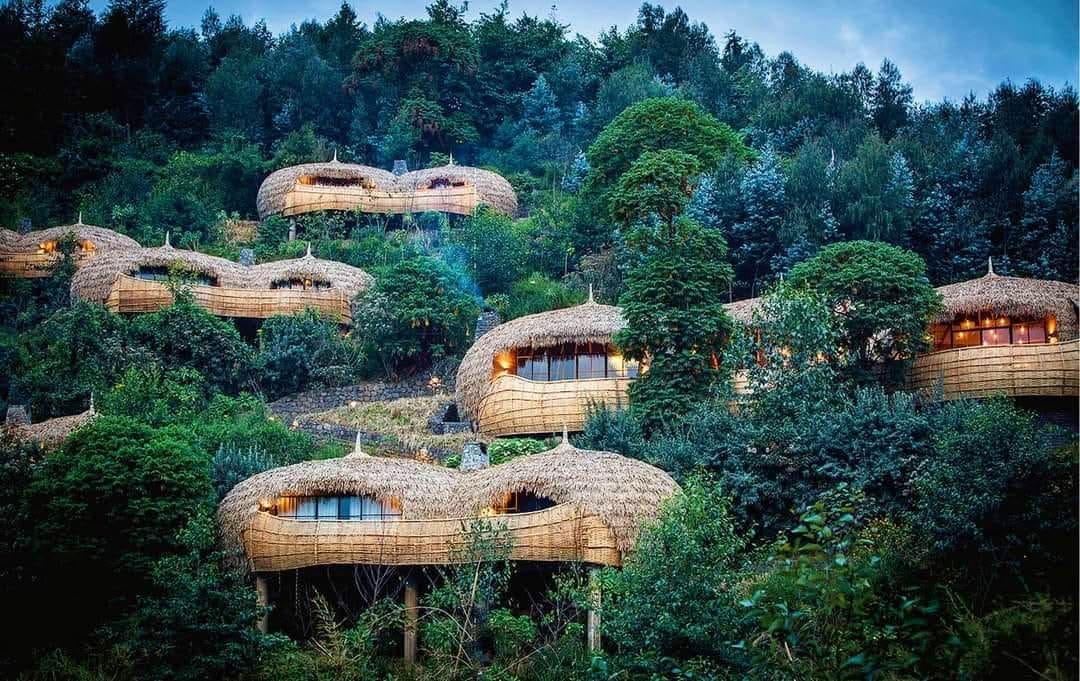 Wilderness Bisate Lodge