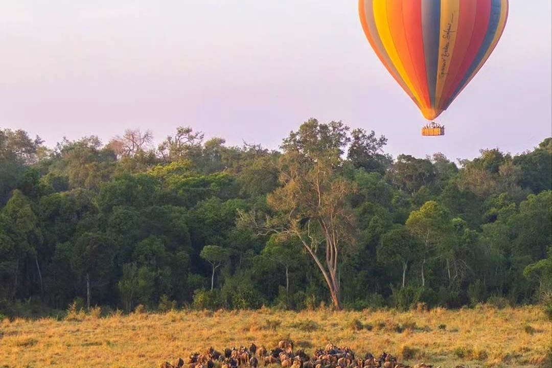Hot-air balloon safari