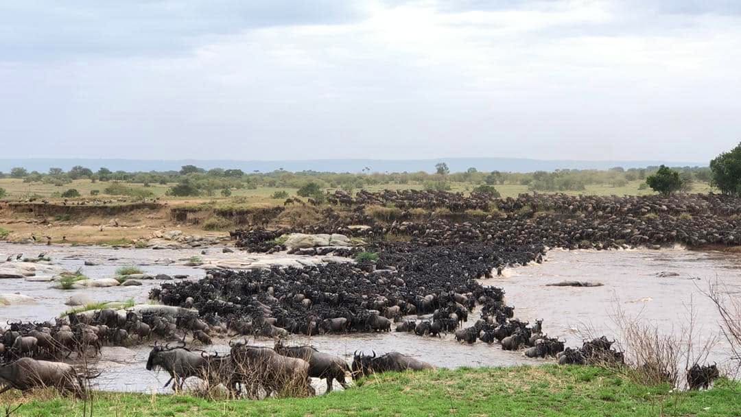 Great Migration