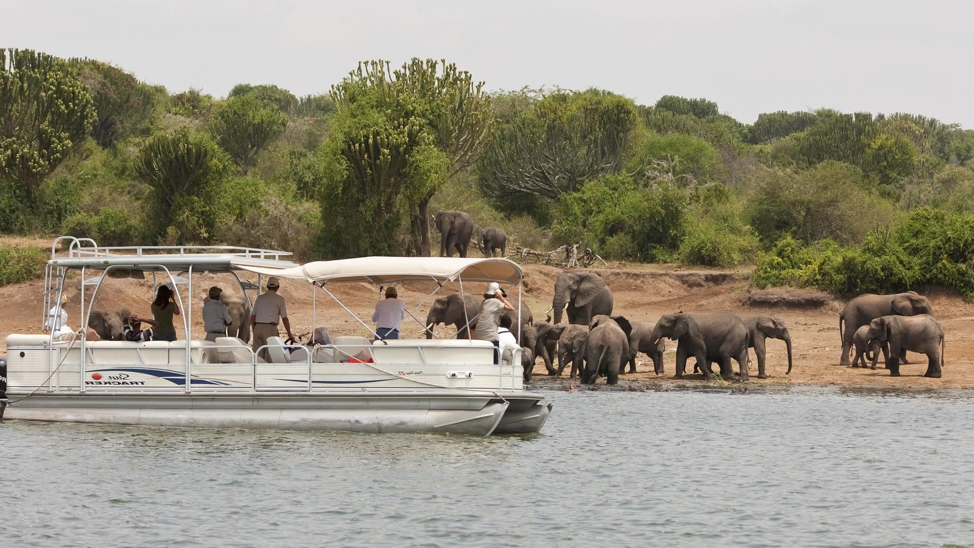 Boat safari