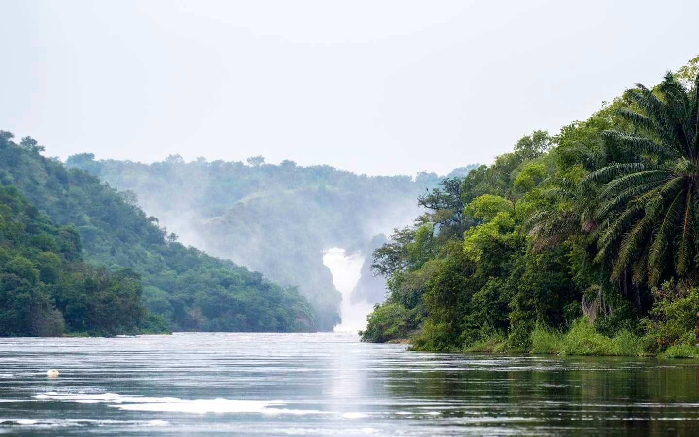 Water and wildlife